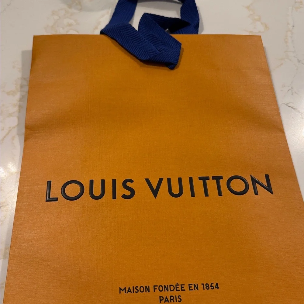 Louis Vuitton shopping 🛍️ bags